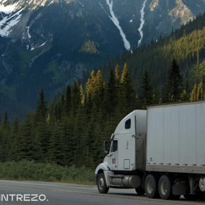 Finding the Right Talent for the Logistics Sector with Intrezo